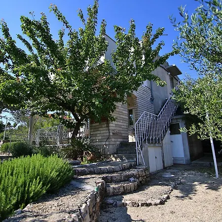 Rosemary רוגוזניצה